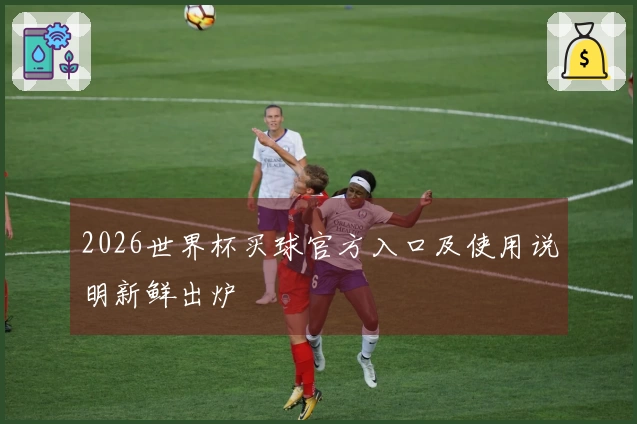 2026世界杯买球官方入口及使用说明新鲜出炉