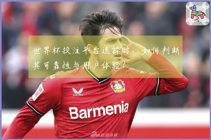 世界杯投注平台选择时，如何判断其可靠性与用户体验？