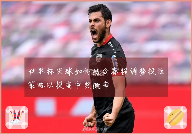 世界杯买球如何结合赛程调整投注策略以提高中奖概率