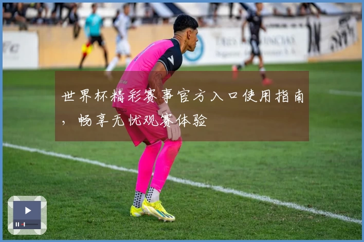 世界杯精彩赛事官方入口使用指南，畅享无忧观赛体验