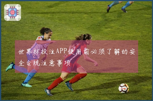 世界杯投注APP使用前必须了解的安全合规注意事项