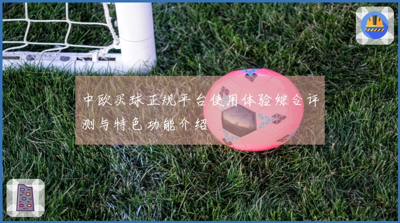 中欧买球正规平台使用体验综合评测与特色功能介绍