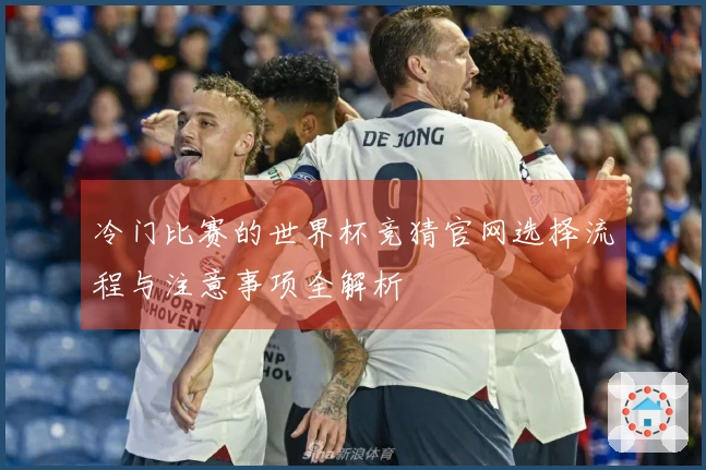 冷门比赛的世界杯竞猜官网选择流程与注意事项全解析