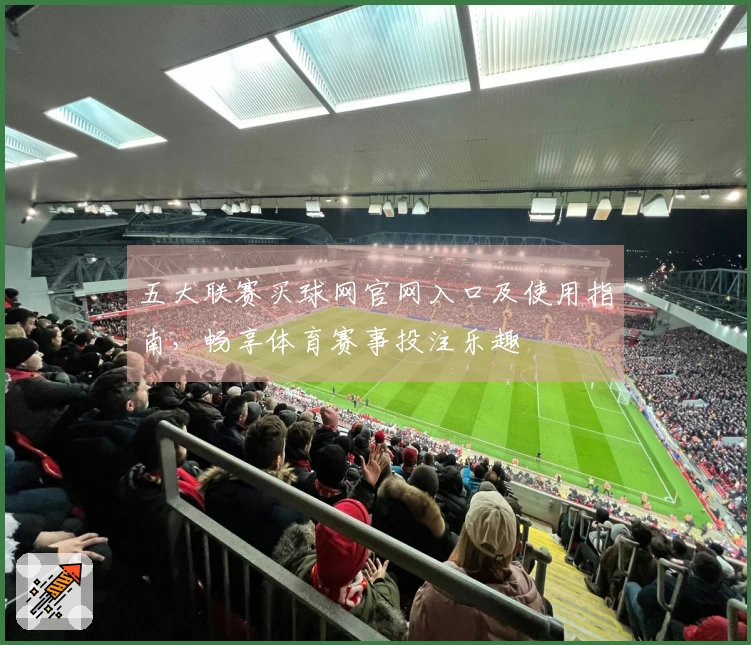 五大联赛买球网官网入口及使用指南，畅享体育赛事投注乐趣
