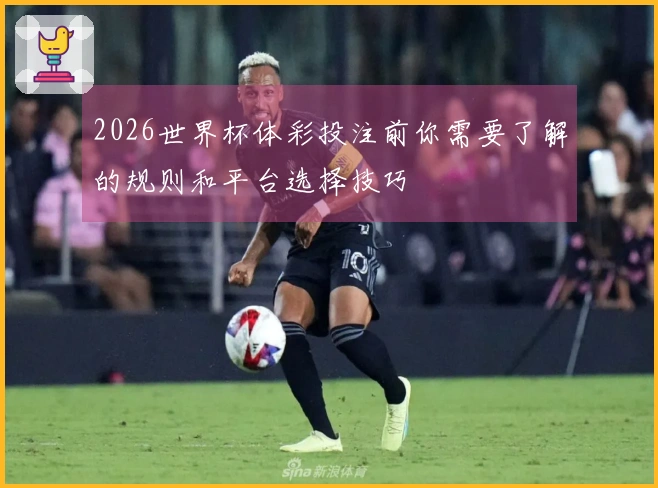 2026世界杯体彩投注前你需要了解的规则和平台选择技巧