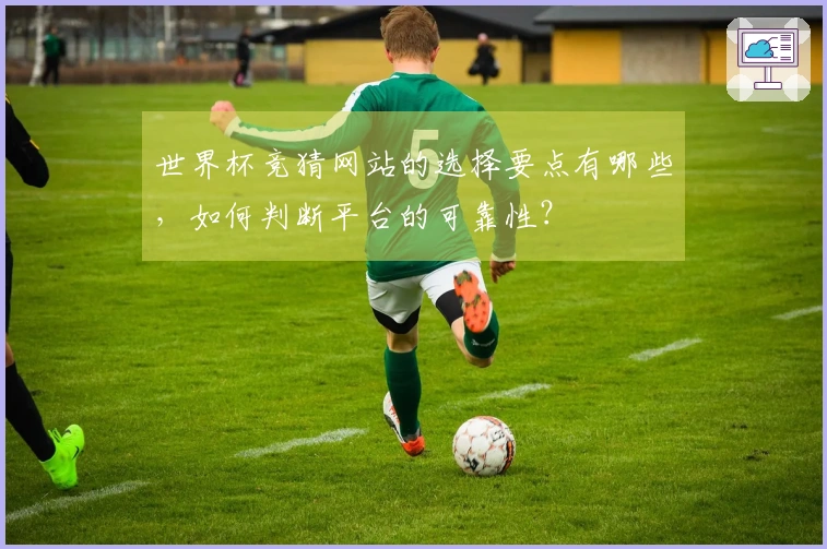 世界杯竞猜网站的选择要点有哪些，如何判断平台的可靠性？