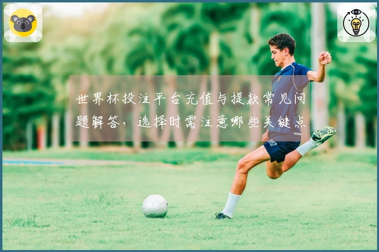 世界杯投注平台充值与提款常见问题解答，选择时需注意哪些关键点？
