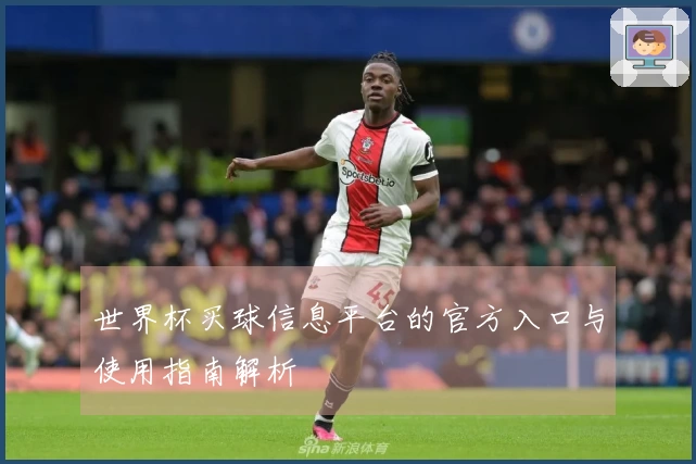 世界杯买球信息平台的官方入口与使用指南解析