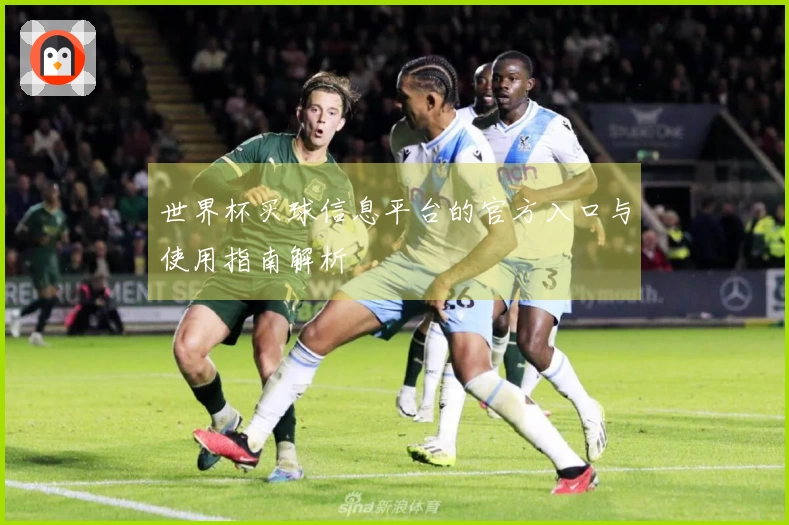 世界杯买球信息平台的官方入口与使用指南解析