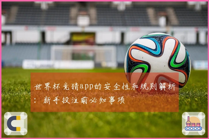 世界杯竞猜app的安全性和规则解析：新手投注前必知事项