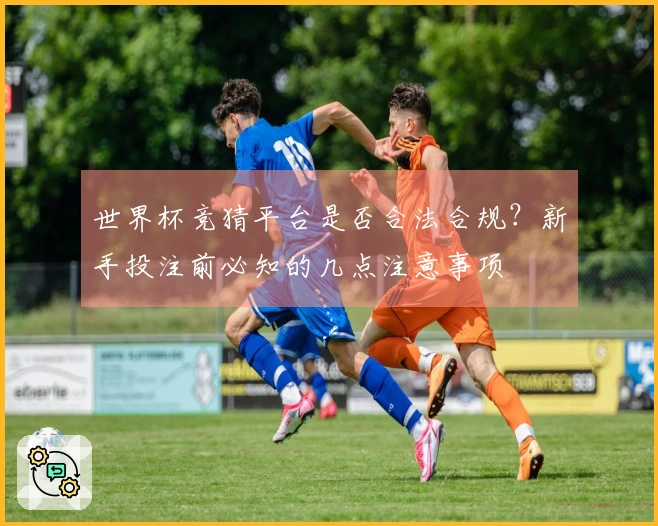 世界杯竞猜平台是否合法合规？新手投注前必知的几点注意事项