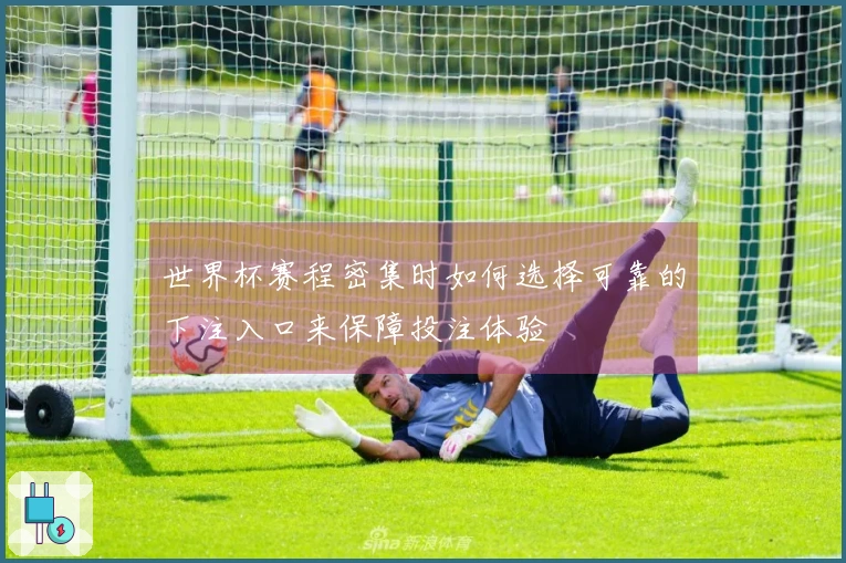 世界杯赛程密集时如何选择可靠的下注入口来保障投注体验