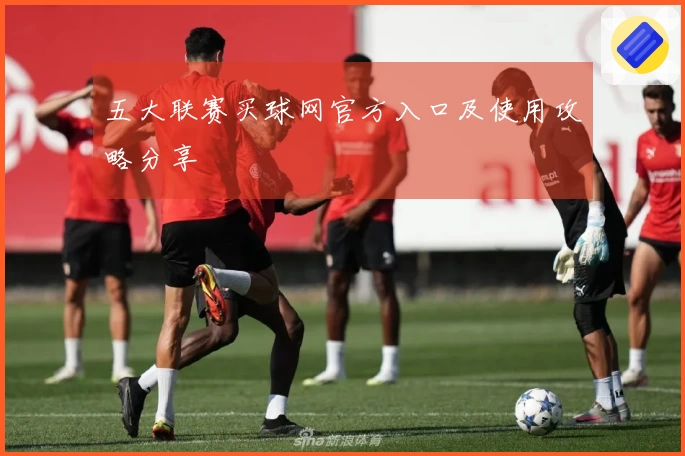 五大联赛买球网官方入口及使用攻略分享