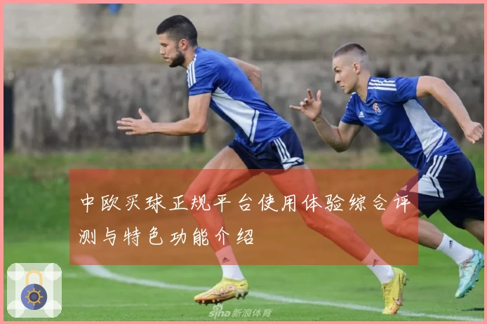 中欧买球正规平台使用体验综合评测与特色功能介绍