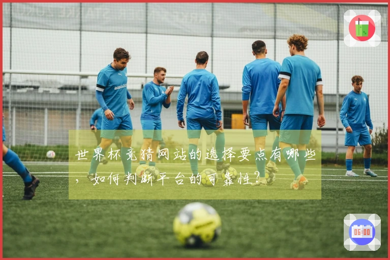 世界杯竞猜网站的选择要点有哪些，如何判断平台的可靠性？