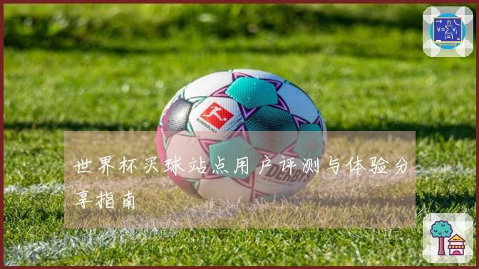 世界杯买球站点用户评测与体验分享指南
