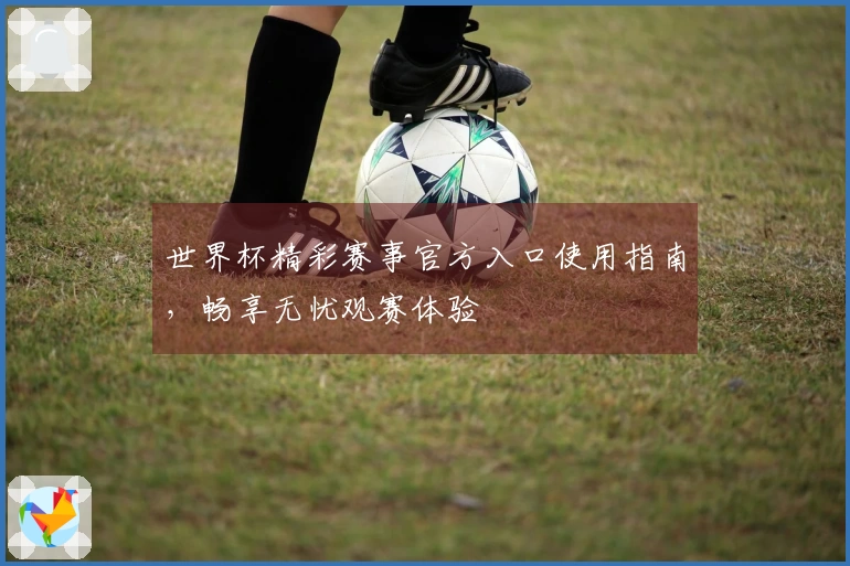 世界杯精彩赛事官方入口使用指南，畅享无忧观赛体验