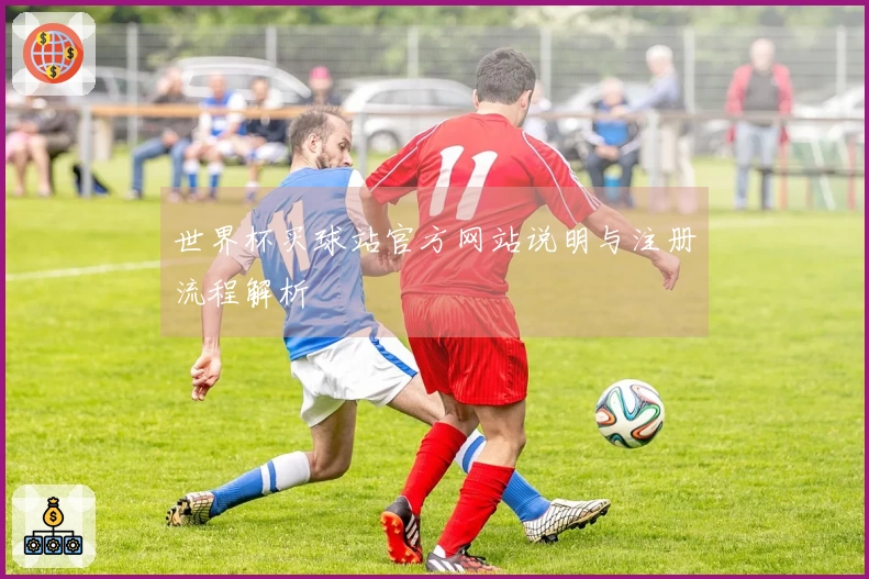 世界杯买球站官方网站说明与注册流程解析