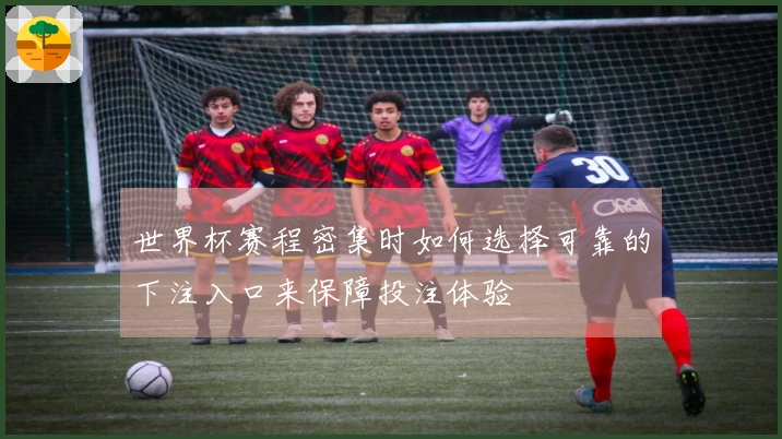 世界杯赛程密集时如何选择可靠的下注入口来保障投注体验